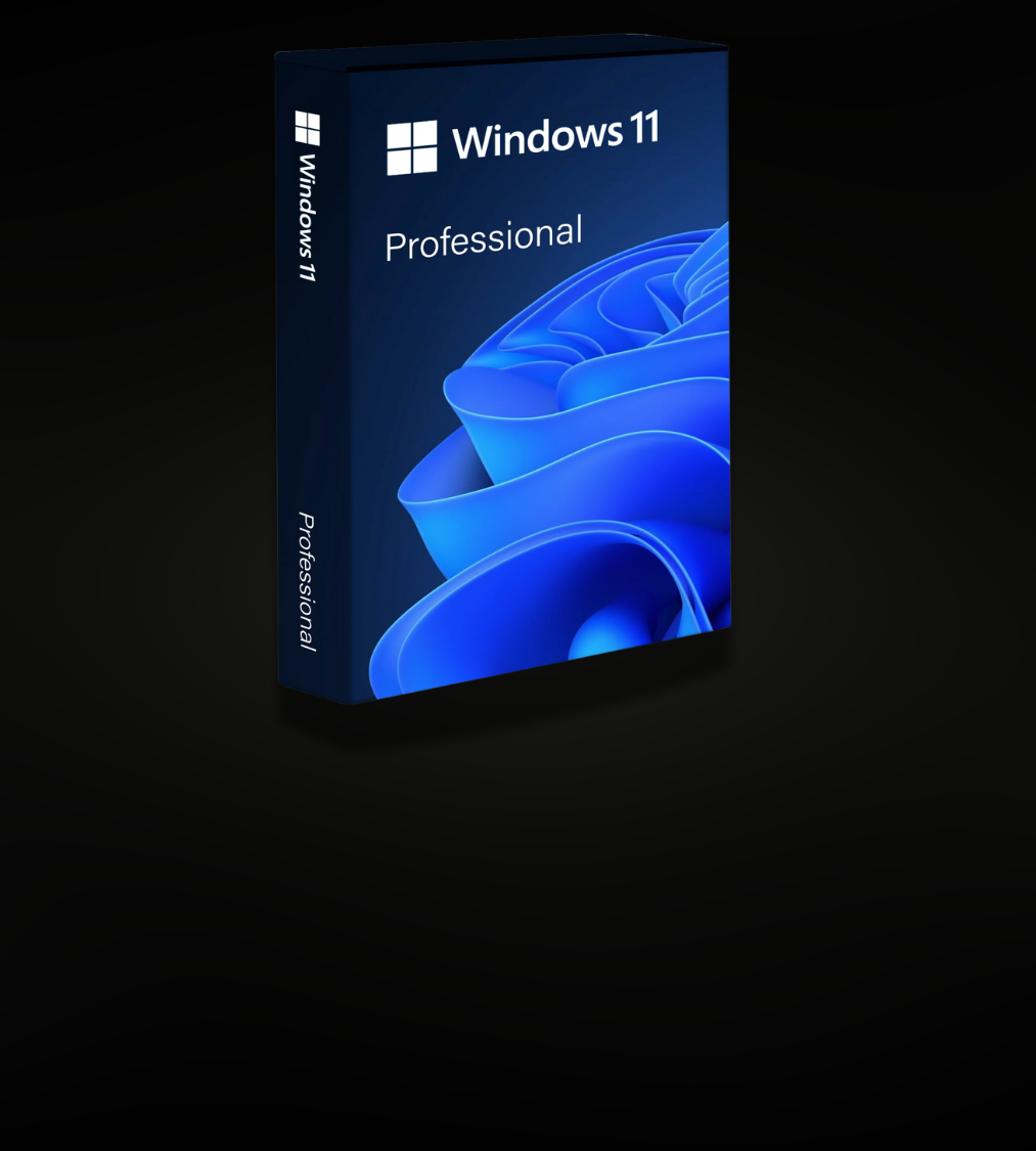 Windows 11 pro
